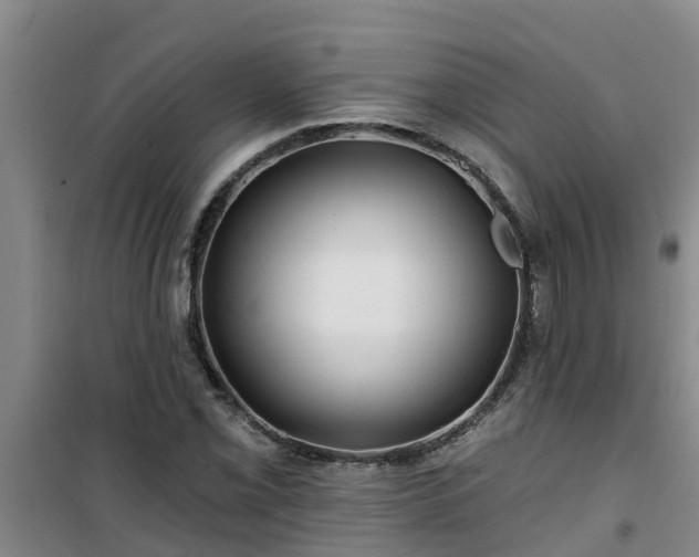 X0000101091069200807031721