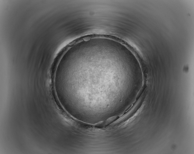 X0000101091070200807031721