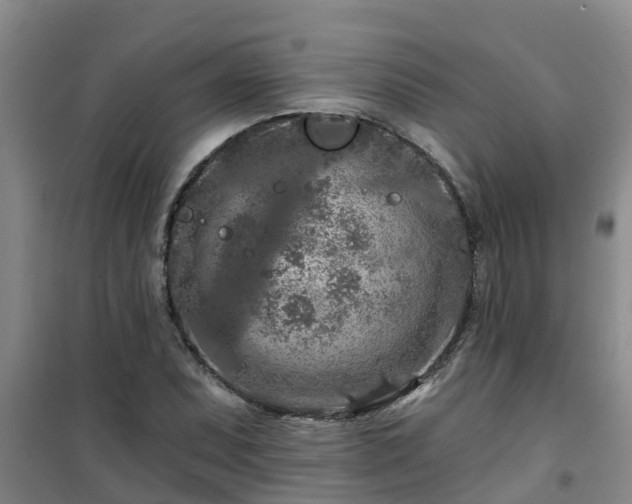 X0000101091071200807031721