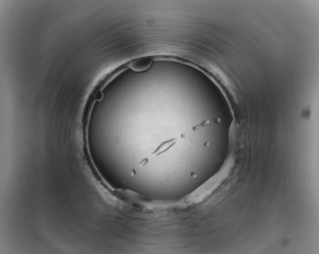 X0000101091072200807031721