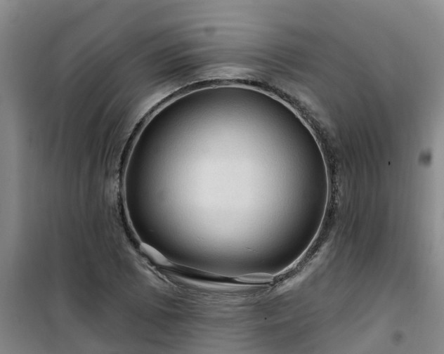 X0000101091073200807031721