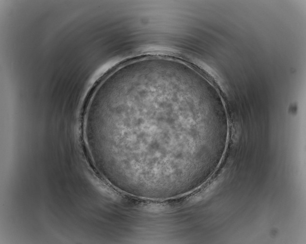 X0000101091074200807031721