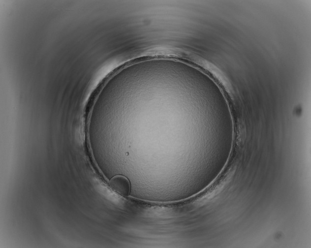 X0000101091075200807031721