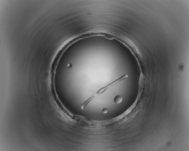 X0000101091076200807031721