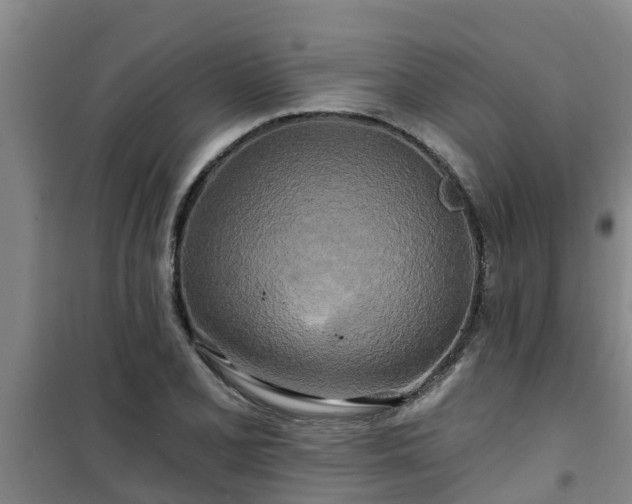 X0000101091077200807031721