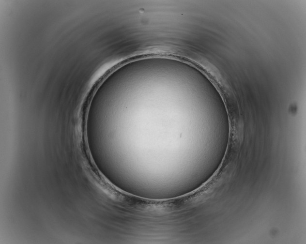 X0000101091078200807031721