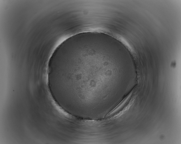 X0000101091079200807031721