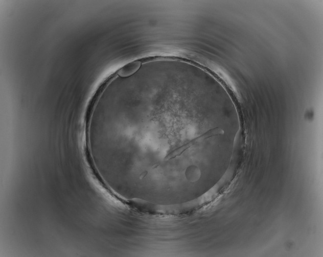 X0000101091080200807031721