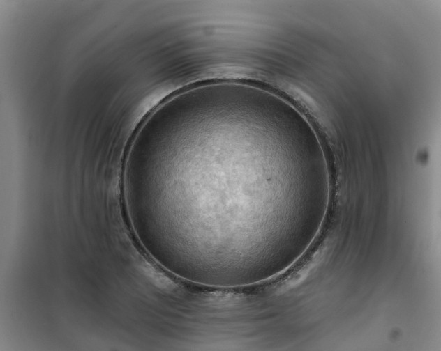 X0000101091081200807031721