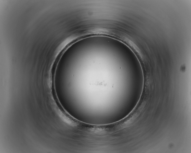 X0000101091082200807031721