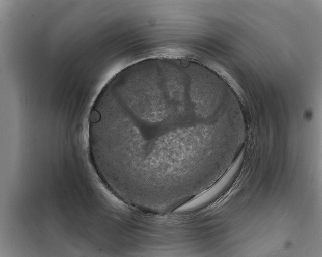 X0000101091083200807031721