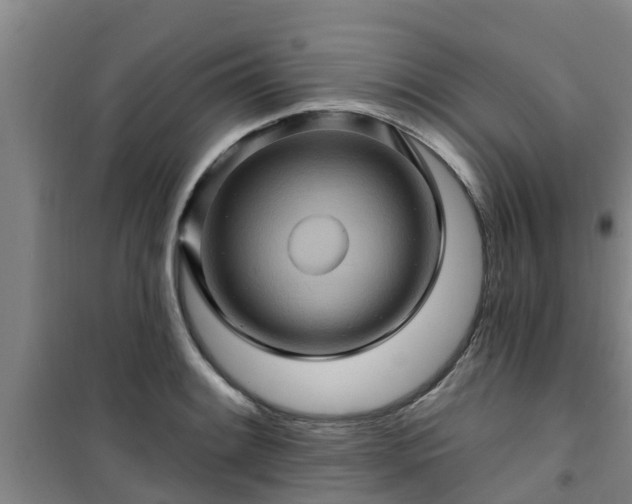 X0000101091084200807031721