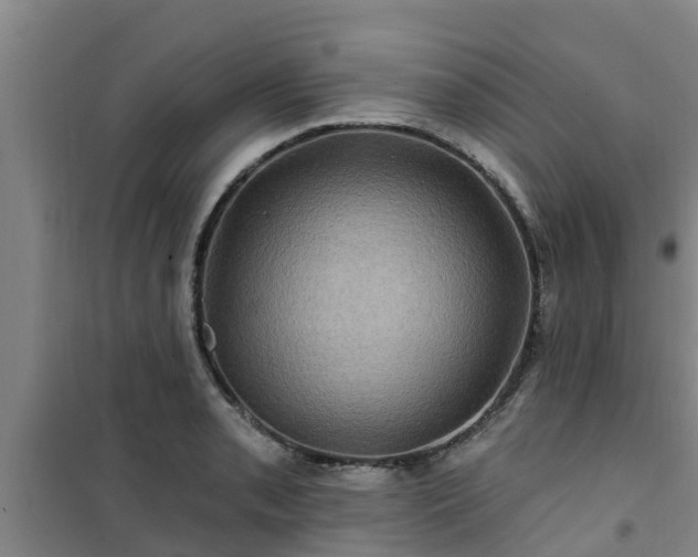 X0000101091085200807031721