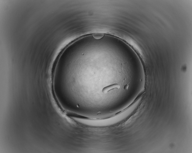 X0000101091088200807031721