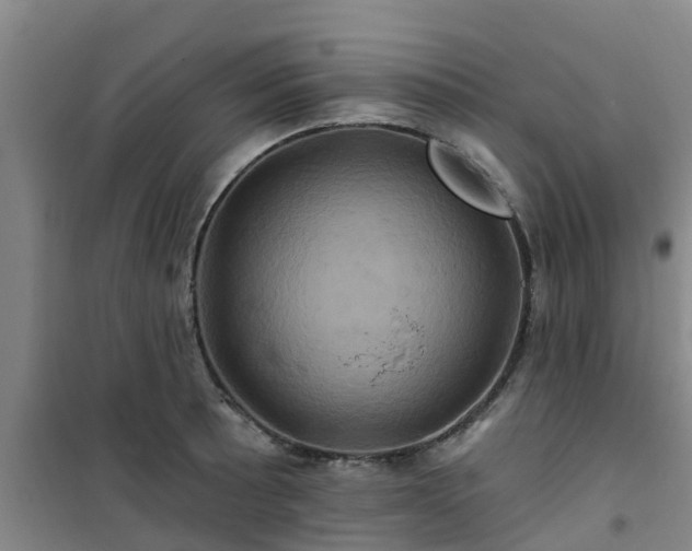 X0000101091089200807031720