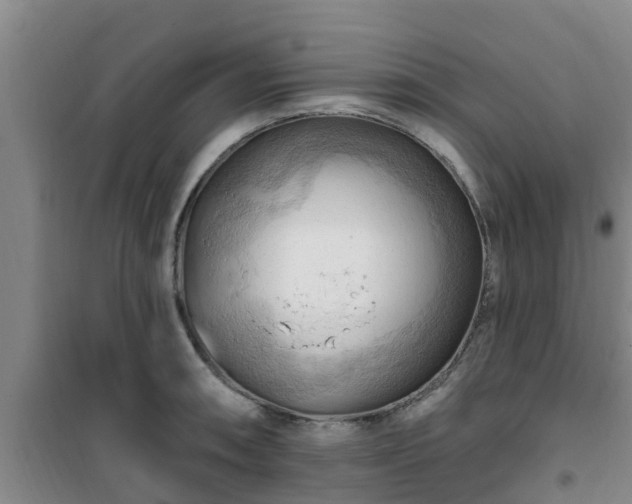 X0000101091090200807031720