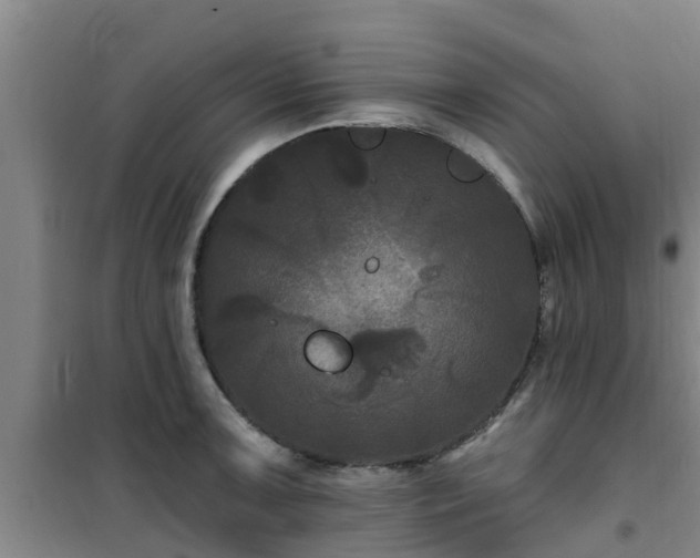 X0000101091091200807031720