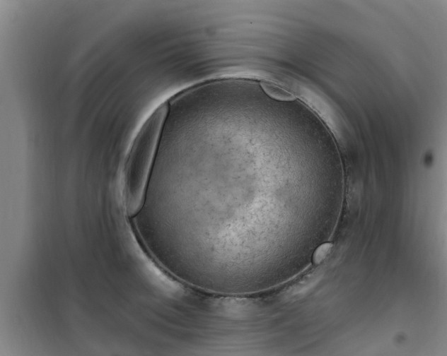 X0000101091092200807031720