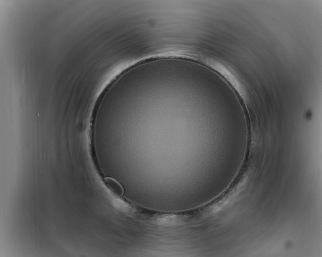 X0000101091093200807031720