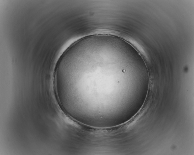 X0000101091094200807031720