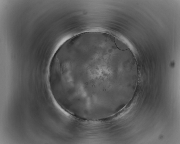 X0000101091095200807031720