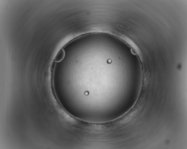 X0000101091096200807031720