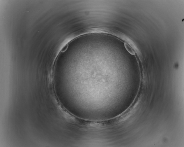 X0000101091097200807031720