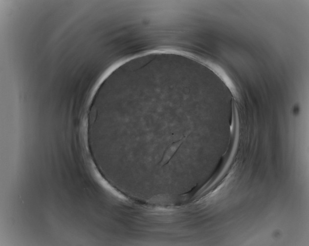 X0000101091100200807031720