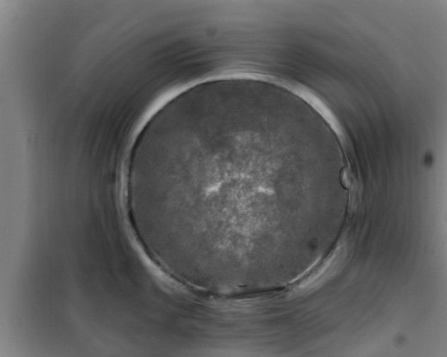 X0000101091101200807031720