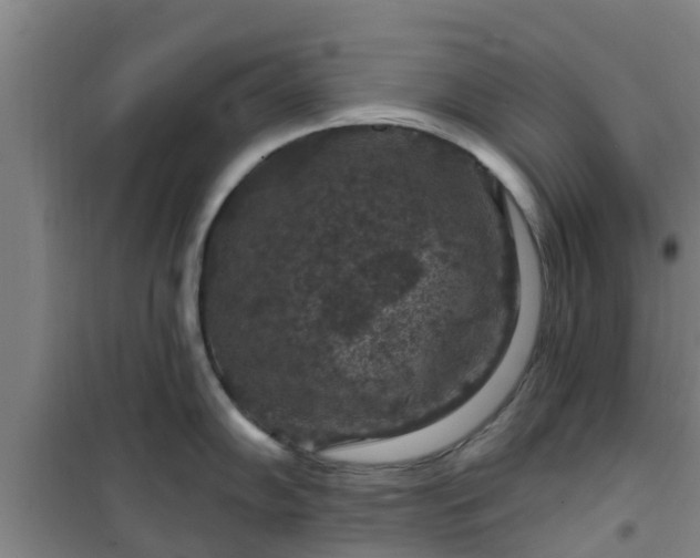 X0000101091102200807031720