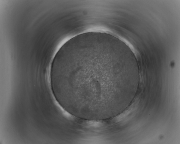 X0000101091103200807031720