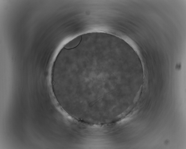 X0000101091104200807031720