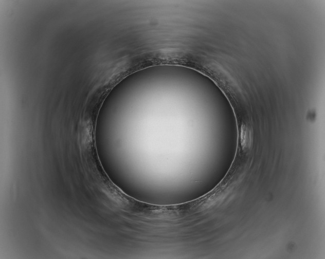 X0000101091107200807031720