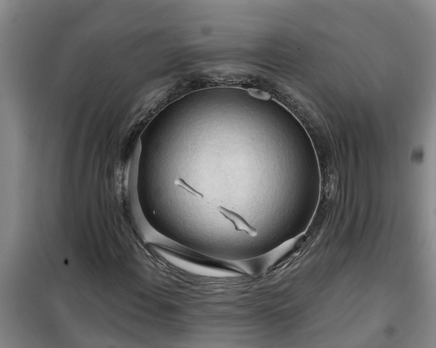 X0000101091108200807031720