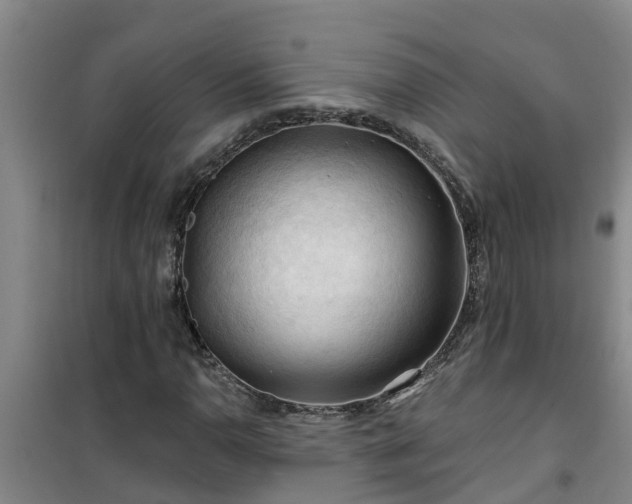 X0000101091110200807031720