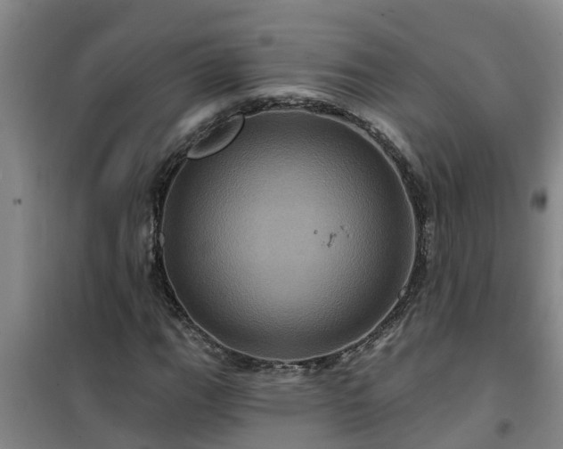 X0000101091111200807031720