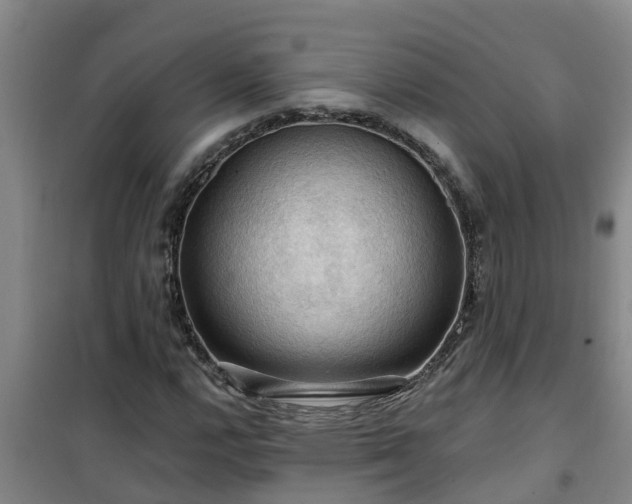 X0000101091112200807031720