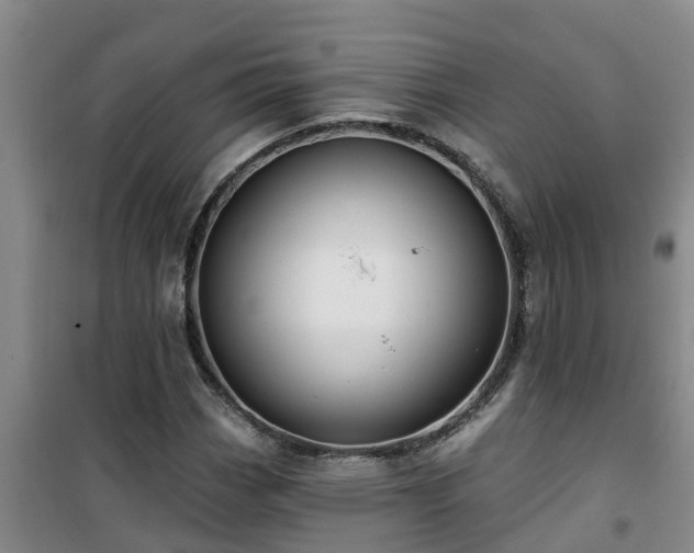 X0000101091113200807031720