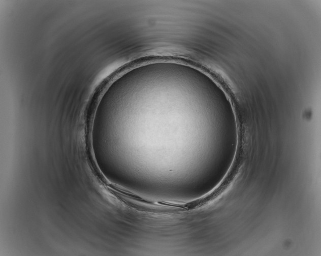 X0000101091114200807031720