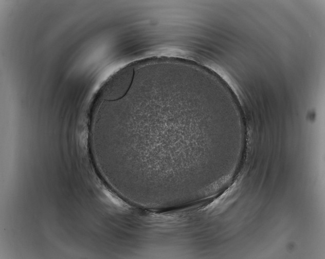 X0000101091115200807031720