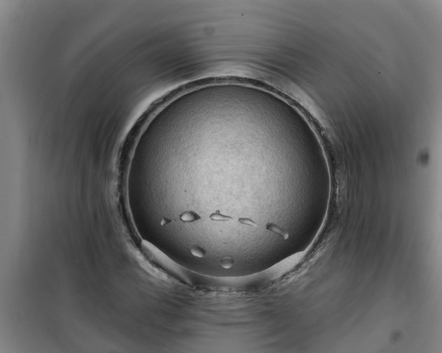 X0000101091116200807031720