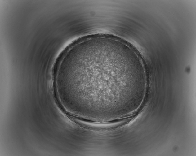 X0000101091118200807031720