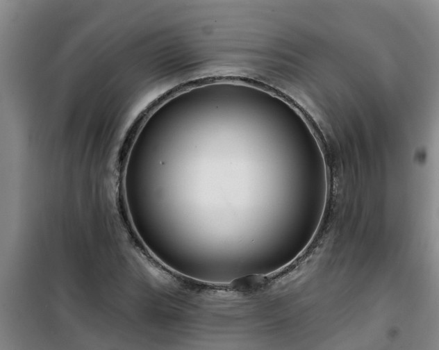 X0000101091119200807031720