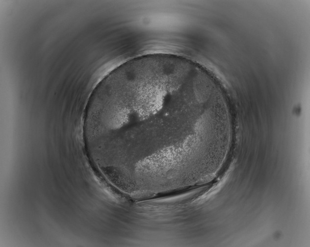 X0000101091121200807031720