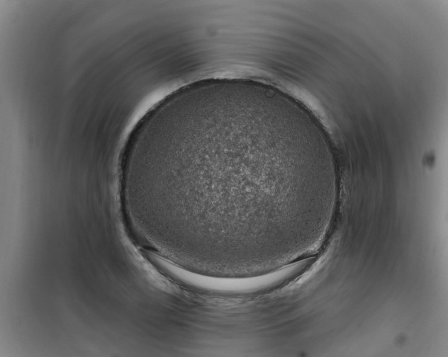 X0000101091122200807031720