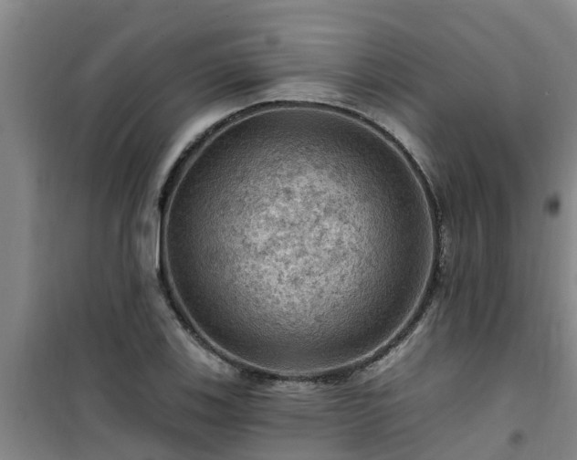 X0000101091123200807031720