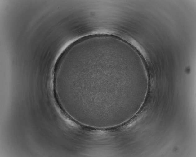 X0000101091124200807031720