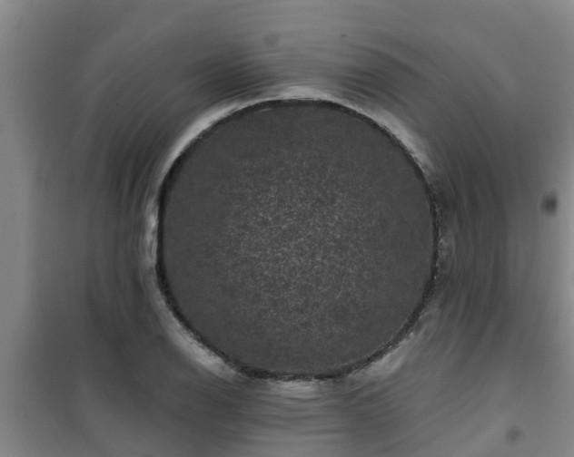 X0000101091126200807031720