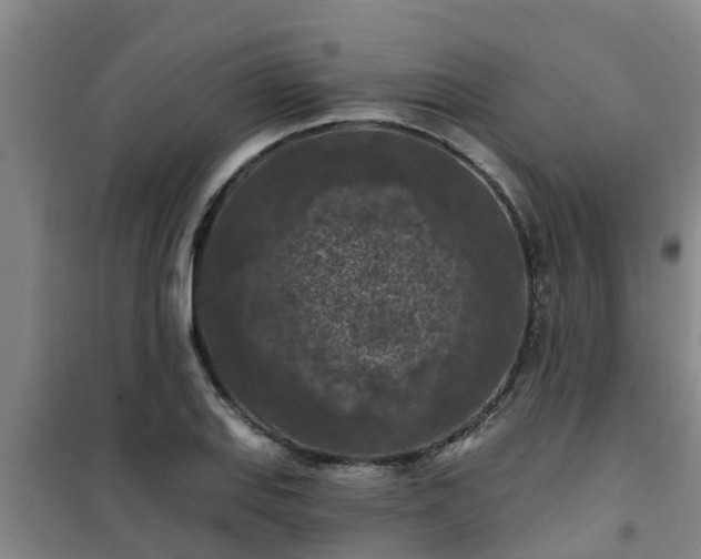 X0000101091127200807031720