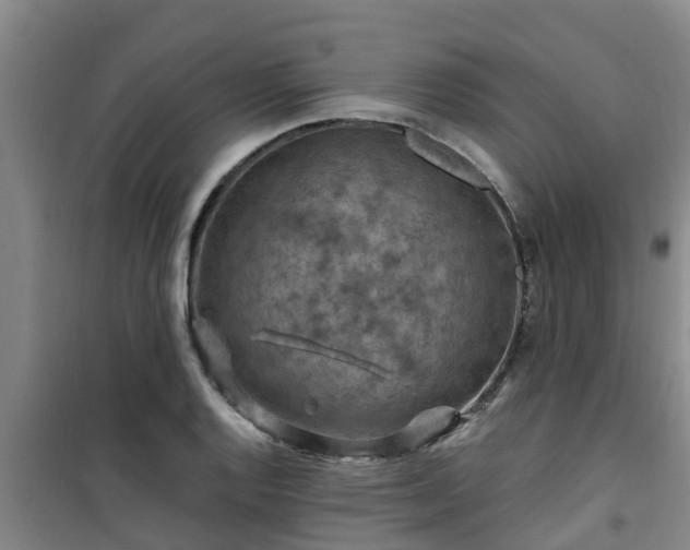 X0000101091128200807031720